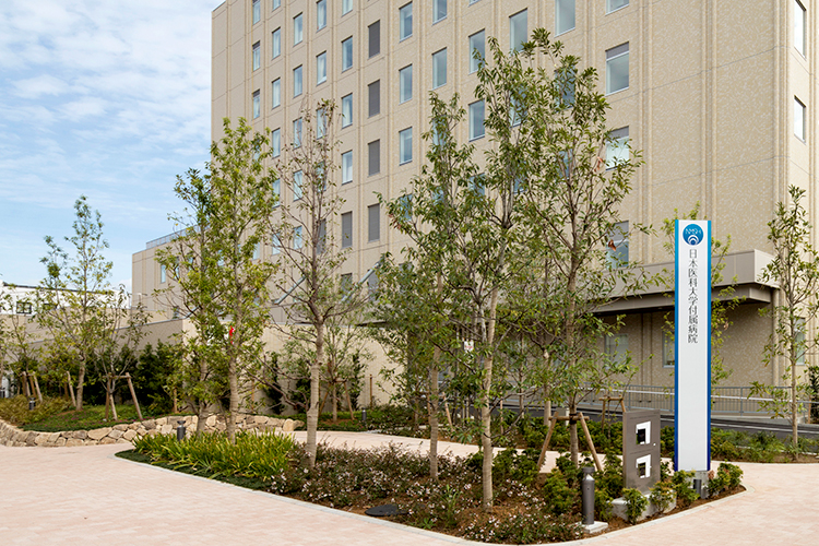 Hf 1 11 %e5%a4%96%e8%a6%b3 %e5%8d%97%e8%a5%bf%e3%82%88%e3%82%8a%e6%9c%9b%e3%82%80 %ef%bc%94