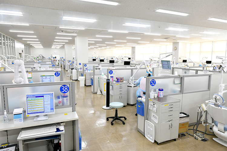 Hf 4 z53421 20231003 10