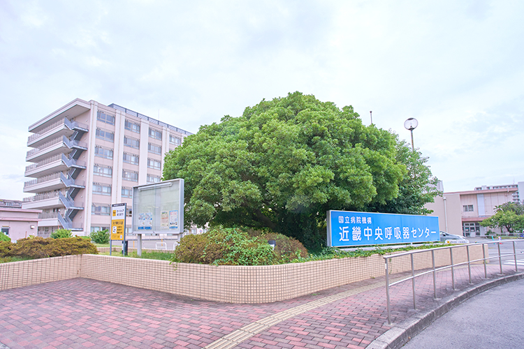 Hf 1 z67179 20250812 0008