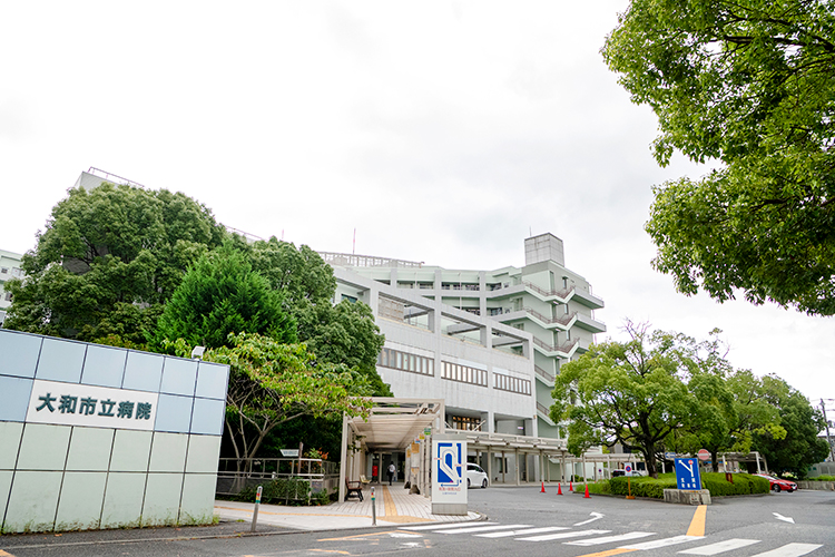 Hf 5 z67833 20250912 06