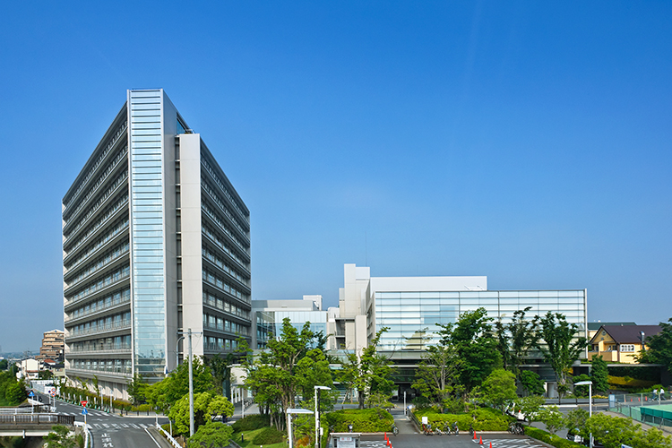 Hf 1 %e5%a4%96%e8%a6%b3%e5%86%99%e7%9c%9f 