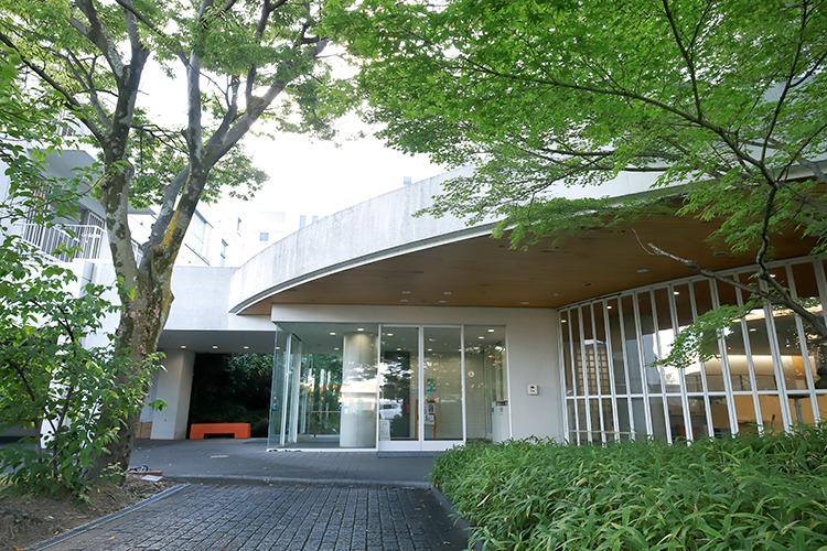 Hf 3 z66435 20250722 010