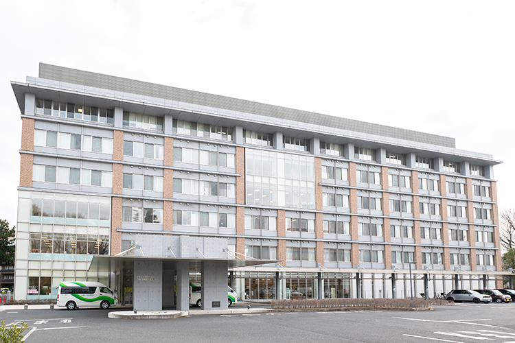 Hf 1 z70613 20260217 2