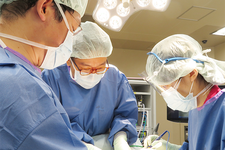 Mt3 main gimic%e7%94%a8 %e5%90%91%e5%b1%b1%e6%84%9b%e7%94%b2%e4%bc%8a%e8%97%a4