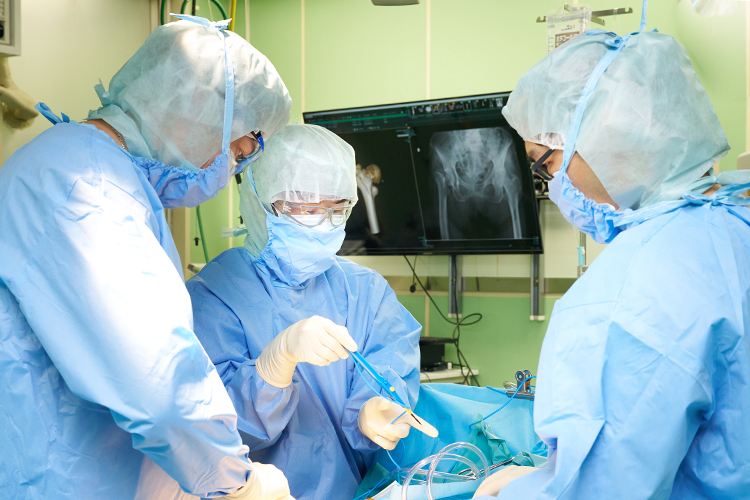 Hfmt4 top z60650 20240906 016