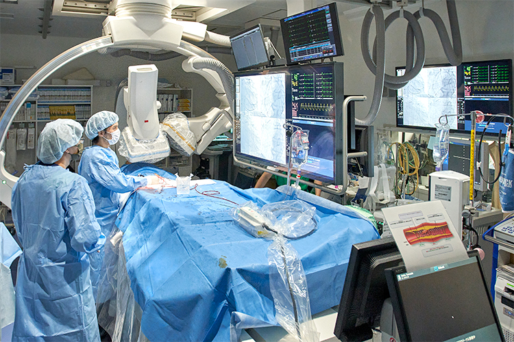 1 z51534 20230616 0005