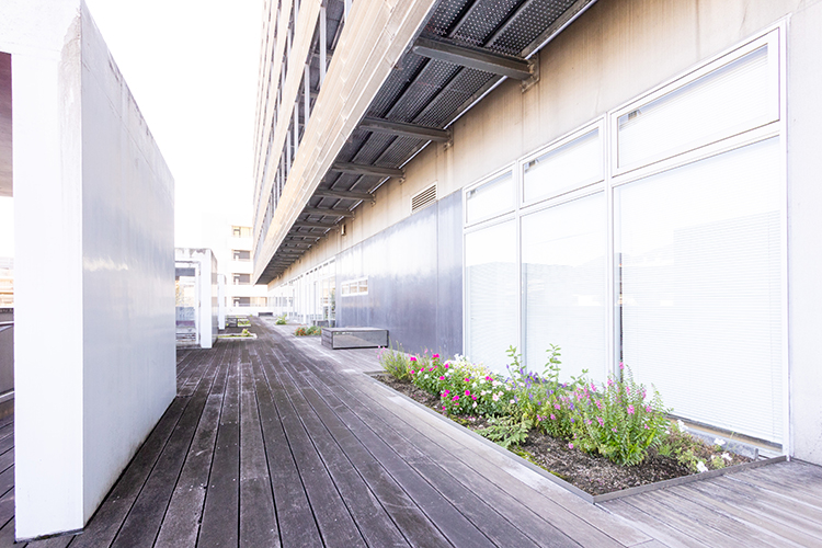 Cs 5 z68582 20251017 015