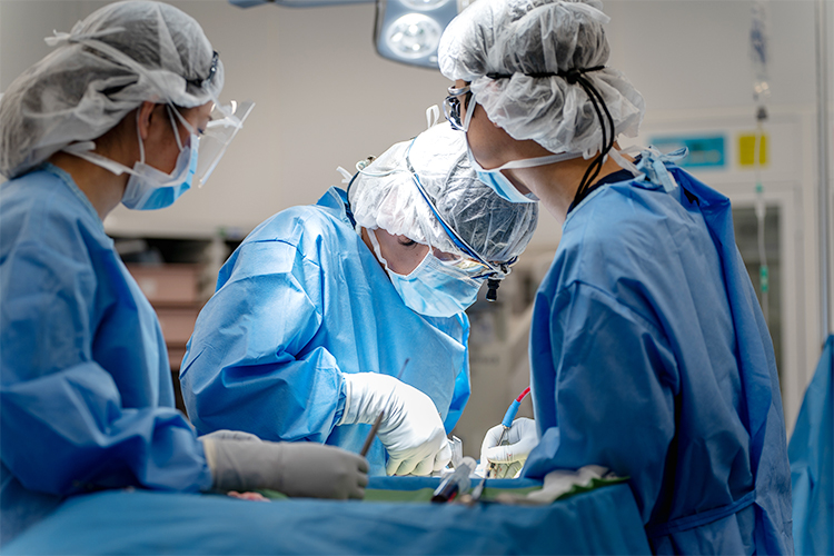 2 z57526 20240404 157